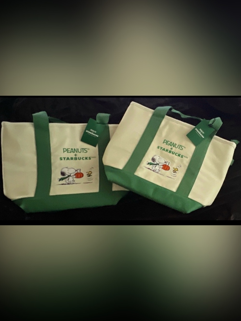 Starbucks Cream & Green Canvas Pet Carrier Tote with Peanuts Artwork